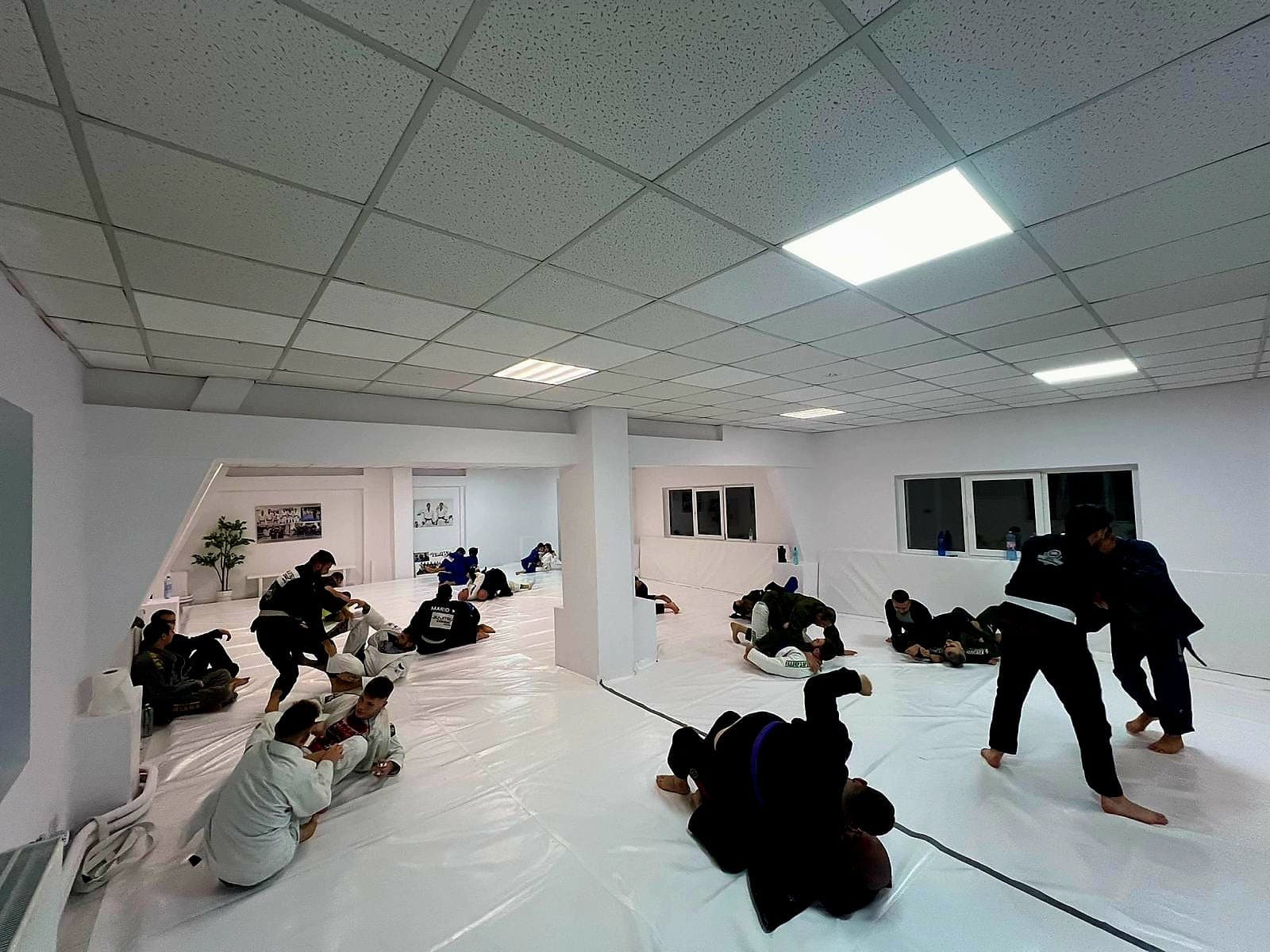 Antrenament în sală, mai multe perechi lucrând simultan pe saltea