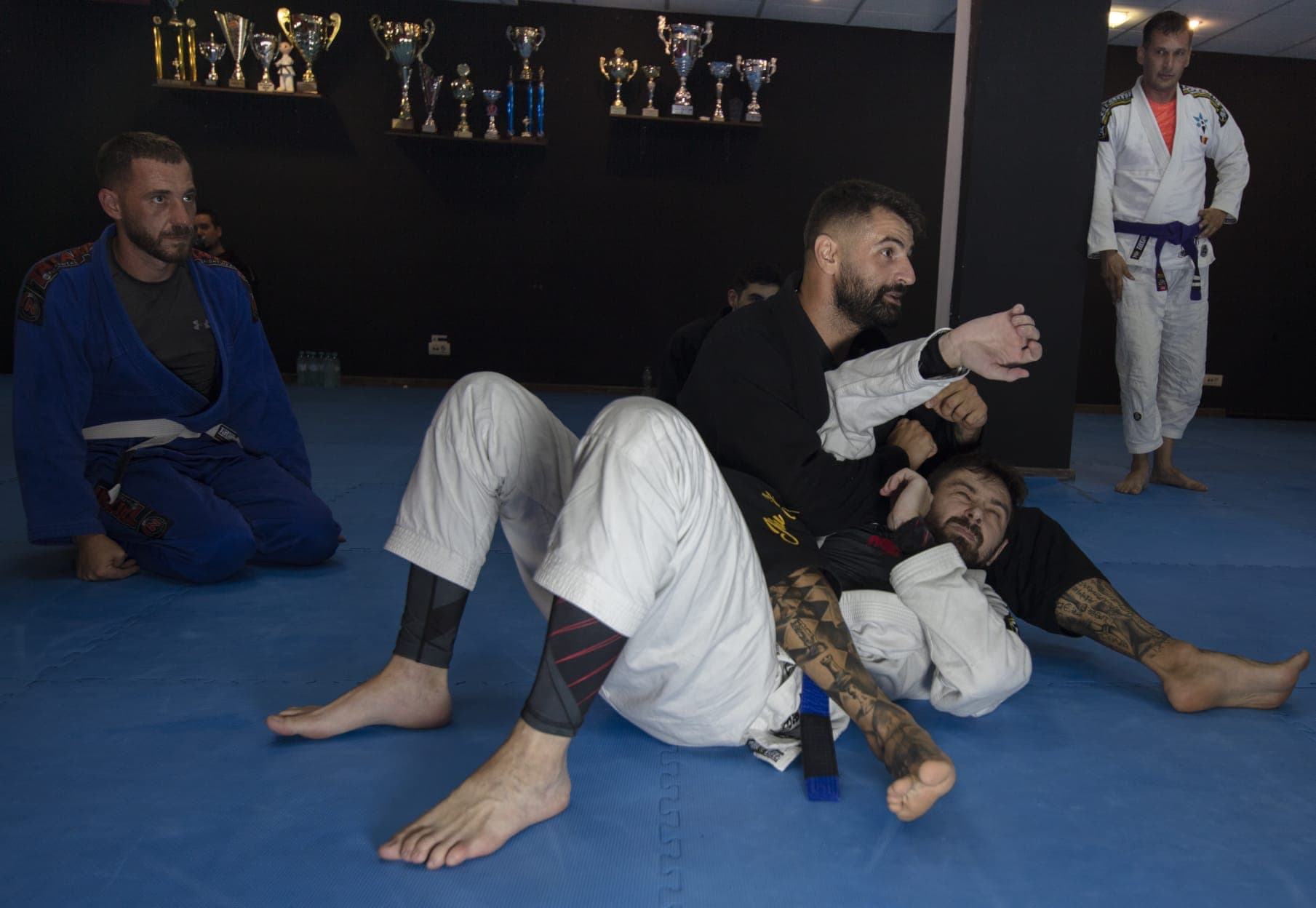 Doi sportivi pe saltea, în fața raftului cu trofeele clubului